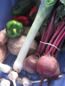 406961_477463275617531_256087802_n