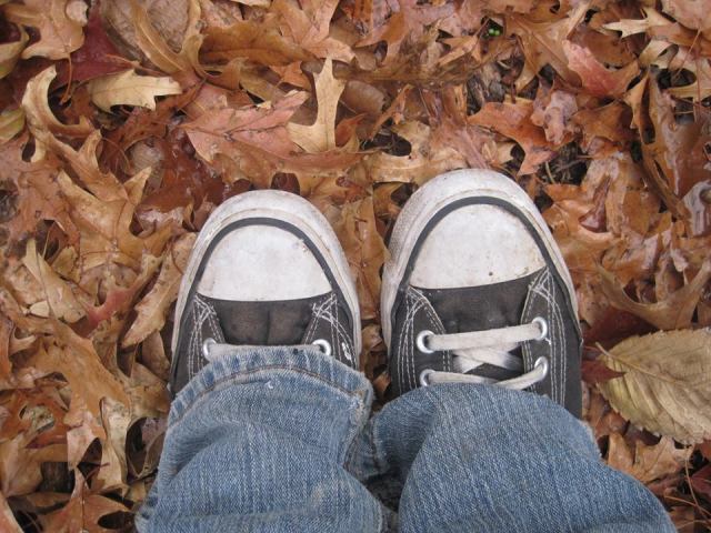 1385090_630677433629447_110012059_n